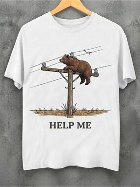 Bear On Top of a light pole.